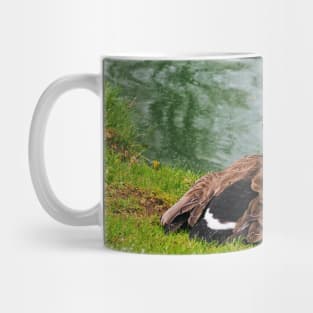 An Angry Female Canada Goose On Her Nest Mug